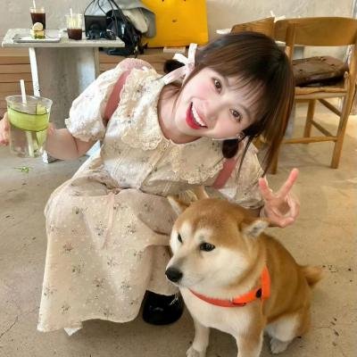 晓看南山暮看云