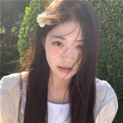 闪电狗